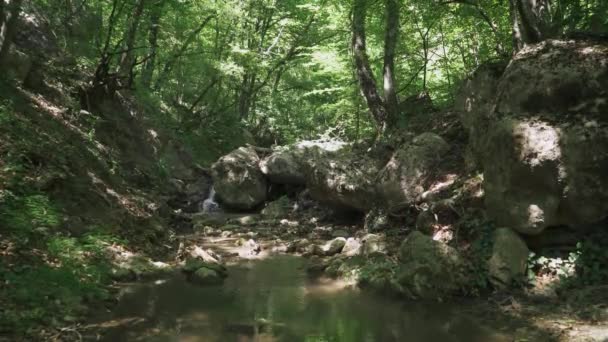 Přírodní Krajiny Pohled Creek Malým Vodopádem Skalnatém Terénu — Stock video