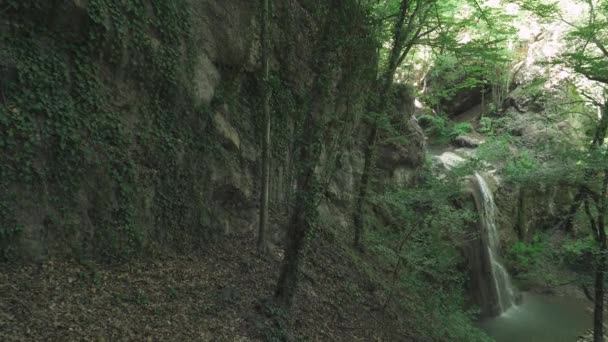 Přírodní Krajiny Pohled Creek Malým Vodopádem Skalnatém Terénu — Stock video