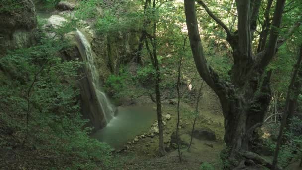 Přírodní Krajiny Výhled Vodopád Skalnatém Terénu — Stock video