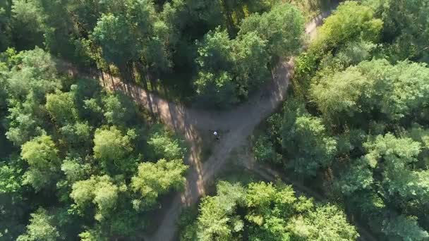 Dia de verão, os velocistas corre uma maratona pela floresta, vista de altura. — Vídeo de Stock