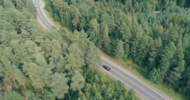 Lojistik, havadan görünümü, otomobil ve kamyon yakınlarındaki orman yolu boyunca sürüş görüntülemek yükseklikten.