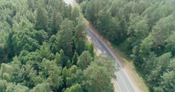 Логістика, аерофотозйомка, автомобілі та вантажівка, що рухаються по дорозі біля лісу, вид з висоти . — стокове відео