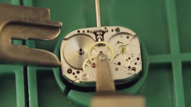 Production Watches Process Assembling Mechanism Wristwatch Machine Cnc Gears Parts — Stock Video