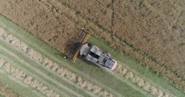 Kırsal ve tarım, tecavüz, güneş ışığı uçuş alan, hasat, tecavüz yükseklik birleştirmek hasat görünümden kaldırır.