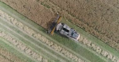 Kırsal ve tarım, tecavüz, güneş ışığı uçuş alan, hasat, tecavüz yükseklik birleştirmek hasat görünümden kaldırır.