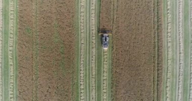 Kırsal ve tarım, tecavüz, güneş ışığı uçuş alan, hasat, tecavüz yükseklik birleştirmek hasat görünümden kaldırır.