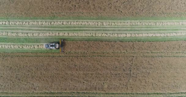 Campagne et l’agriculture, vol sur le corps, viol récolte, vue de moissonneuse de cartel de hauteur supprime le viol, la lumière du soleil. — Video