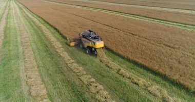 Kırsal ve tarım, uçuş alanın üzerine, tecavüz, güneş ışığı hasat, tecavüz arka yükseklik birleştirmek hasat görünümden kaldırır.