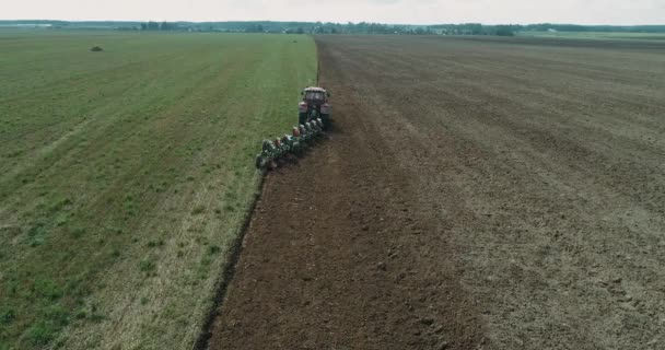 Countryside and agriculture, grain sowing, farm tractors plow the earth in field, view from height. — Stock Video