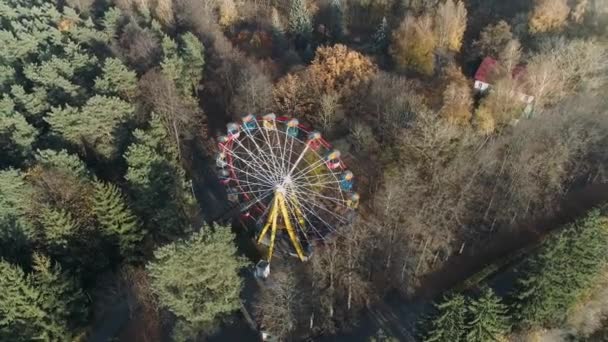 Parque de diversiones, rueda de la fortuna en el centro de la ciudad cerca de bosque, tiro de drone, vista desde la altura. — Vídeos de Stock