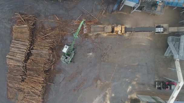 Carpintería fábrica vista desde altura, la máquina carga troncos de árbol sobre la cinta transportadora, cadena de producción, fabricante de madera aglomerada. — Vídeos de Stock