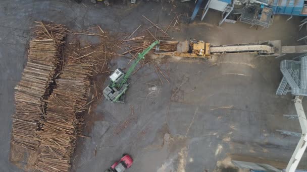 Holzbearbeitung-Fabrik-Blick von Höhe, lädt Maschine Baumstämme auf Förderband, Fließband, Spanplatten-Hersteller. — Stockvideo