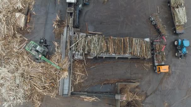 Lavorazione del legno fabbrica vista da altezza, macchina carica tronchi d'albero sul nastro trasportatore, linea di produzione, produttore di pannelli truciolari. — Video Stock