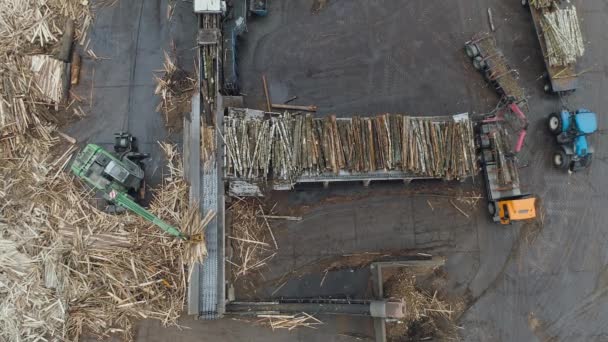 Carpintería fábrica vista desde altura, la máquina carga troncos de árbol sobre la cinta transportadora, cadena de producción, fabricante de madera aglomerada. — Vídeo de stock