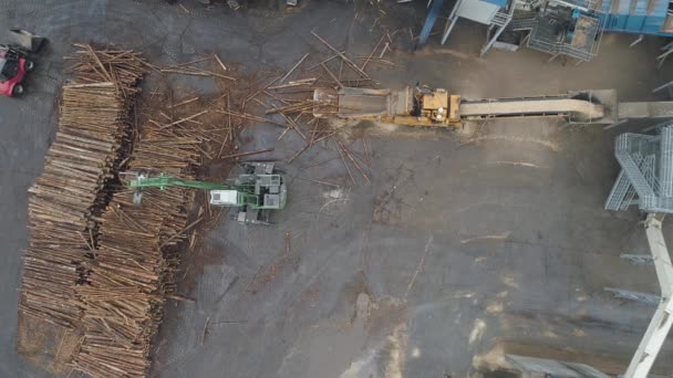 Carpintería fábrica vista desde altura, la máquina carga troncos de árbol sobre la cinta transportadora, cadena de producción, fabricante de madera aglomerada. — Vídeos de Stock