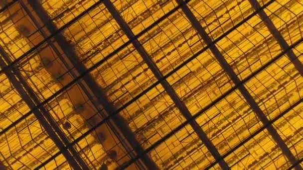 高さ、熱烈な温室のビュー、ガラス、空撮で暖かな光から夜のパノラマ. — ストック動画