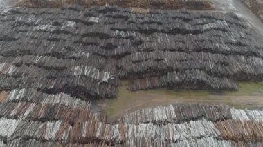 Ağaç işleme fabrika havadan görünümü, ağaç günlük depolama, endüstriyel yatay.