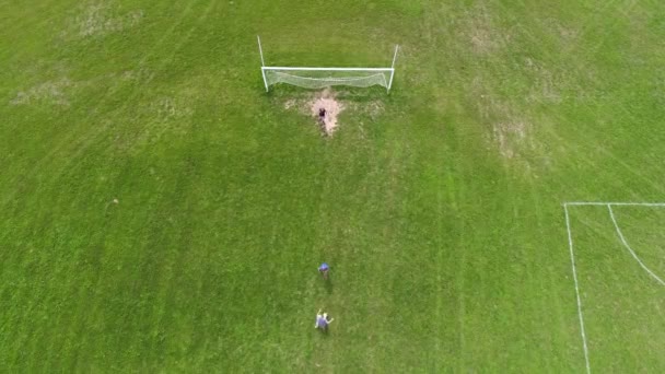 Chłopcy gry w piłkę nożną w dziedzinie kształcenia, bramki, widok z wysokości. — Wideo stockowe