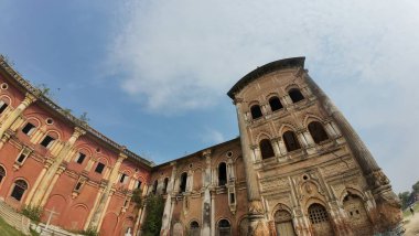 Hindistan 'ın Bihar kentindeki Rajnagar Sarayı' nın Hayaletli Güzel Ortaçağ Harabeleri, Karmaşık Karmaşık Oymalar, Yıpranmış Tuğla Mimarisi ve Bitkilerin Yükselişi