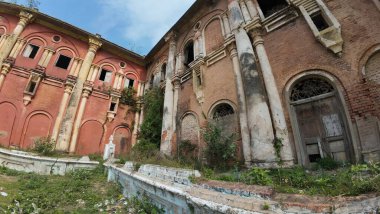 Hindistan 'ın Bihar kentindeki Rajnagar Sarayı' nın Hayaletli Güzel Ortaçağ Harabeleri, Karmaşık Karmaşık Oymalar, Yıpranmış Tuğla Mimarisi ve Bitkilerin Yükselişi