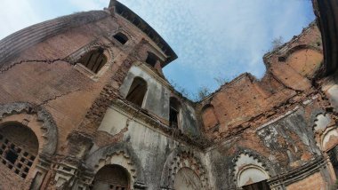 Hindistan 'ın Bihar kentindeki Rajnagar Sarayı' nın Hayaletli Güzel Ortaçağ Harabeleri, Karmaşık Karmaşık Oymalar, Yıpranmış Tuğla Mimarisi ve Bitkilerin Yükselişi