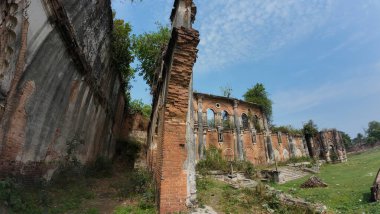 Hindistan 'ın Bihar kentindeki Rajnagar Sarayı' nın Hayaletli Güzel Ortaçağ Harabeleri, Karmaşık Karmaşık Oymalar, Yıpranmış Tuğla Mimarisi ve Bitkilerin Yükselişi