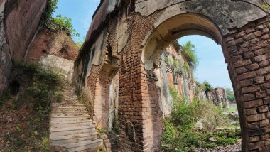 Hindistan 'ın Bihar kentindeki Rajnagar Sarayı' nın Hayaletli Güzel Ortaçağ Harabeleri, Karmaşık Karmaşık Oymalar, Yıpranmış Tuğla Mimarisi ve Bitkilerin Yükselişi