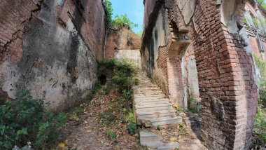 Hindistan 'ın Bihar kentindeki Rajnagar Sarayı' nın Hayaletli Güzel Ortaçağ Harabeleri, Karmaşık Karmaşık Oymalar, Yıpranmış Tuğla Mimarisi ve Bitkilerin Yükselişi