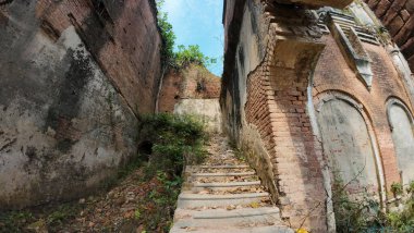 Hindistan 'ın Bihar kentindeki Rajnagar Sarayı' nın Hayaletli Güzel Ortaçağ Harabeleri, Karmaşık Karmaşık Oymalar, Yıpranmış Tuğla Mimarisi ve Bitkilerin Yükselişi
