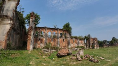 Hindistan 'ın Bihar kentindeki Rajnagar Sarayı' nın Hayaletli Güzel Ortaçağ Harabeleri, Karmaşık Karmaşık Oymalar, Yıpranmış Tuğla Mimarisi ve Bitkilerin Yükselişi