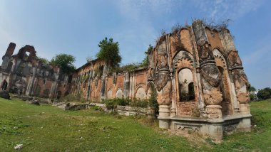 Hindistan 'ın Bihar kentindeki Rajnagar Sarayı' nın Hayaletli Güzel Ortaçağ Harabeleri, Karmaşık Karmaşık Oymalar, Yıpranmış Tuğla Mimarisi ve Bitkilerin Yükselişi