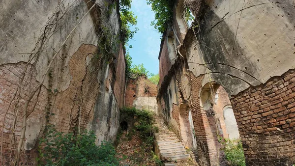 Hindistan 'ın Bihar kentindeki Rajnagar Sarayı' nın Hayaletli Güzel Ortaçağ Harabeleri, Karmaşık Karmaşık Oymalar, Yıpranmış Tuğla Mimarisi ve Bitkilerin Yükselişi