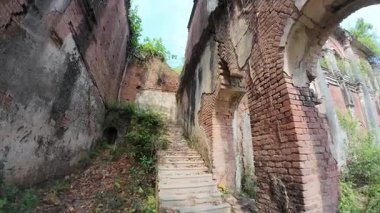 Hindistan 'ın Bihar kentindeki Rajnagar Sarayı' nın Hayaletli Güzel Ortaçağ Harabeleri, Karmaşık Karmaşık Oymalar, Yıpranmış Tuğla Mimarisi ve Bitkilerin Yükselişi