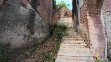 Hindistan 'ın Bihar kentindeki Rajnagar Sarayı' nın Hayaletli Güzel Ortaçağ Harabeleri, Karmaşık Karmaşık Oymalar, Yıpranmış Tuğla Mimarisi ve Bitkilerin Yükselişi