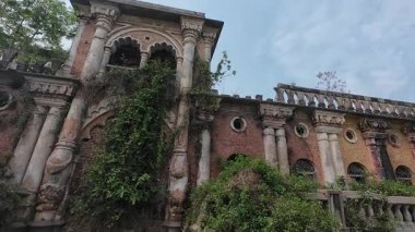 Hindistan 'ın Bihar kentindeki Rajnagar Sarayı' nın Hayaletli Güzel Ortaçağ Harabeleri, Karmaşık Karmaşık Oymalar, Yıpranmış Tuğla Mimarisi ve Bitkilerin Yükselişi