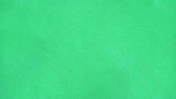Пісок падає на зелений візерунок тла екрана — стокове відео