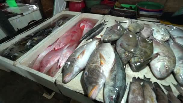 Свежие морепродукты для продажи на балийском рынке в Индонезии — стоковое видео