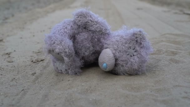Дети игрушки серый плюшевый плюшевый плюшевый медведь заброшен на сухой трещины земли сухом фоне пустыни, засуха концепция катастрофы — стоковое видео