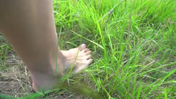 Barfüßiges Gehen im Gras, Konzept von Freiheit und Glück — Stockvideo