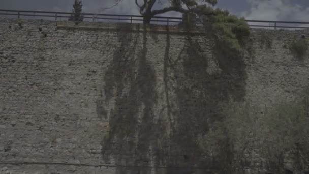 Ensamt träd växer i väggen av ön spinalonga, ruinerna av en antik grekiska, historia, Resor, Kreta utflykt — Stockvideo
