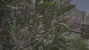 spinalonga Yunanistan ada tarihi kültür antik kalıntıları, gezi Girit'ten, eski taş