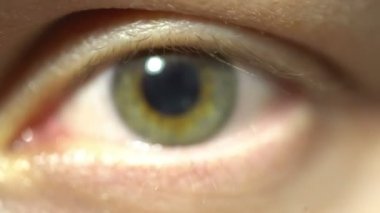 Iris ve genişledi ve müteahhitlik öğrenci aşırı yakın çekim yeşil göz. Çok ince ayrıntılı, modellenmiş üzerinden gerçek insan gözü yapıları, anatomi apeture