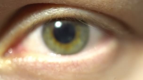 Zöld szem, iris és tanítványa, táguló és a Közelkép. Nagyon finoman részletes, modellezett a valódi emberi szem szerkezetek, apeture anatómia — Stock videók