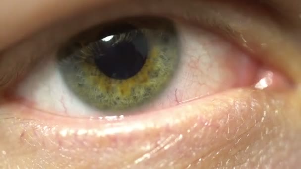 Πράσινο μάτι ακραία μεγέθυνση του ίριδα και το μαθητή διαστολή και την εργολαβία. Αναβοσβήνει πολύ κονιοποιείται λεπτομερείς μακροεντολής — Αρχείο Βίντεο