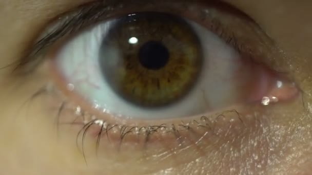 Человеческий глаз вблизи глядя на камеру макро вид детальной анатомии — стоковое видео