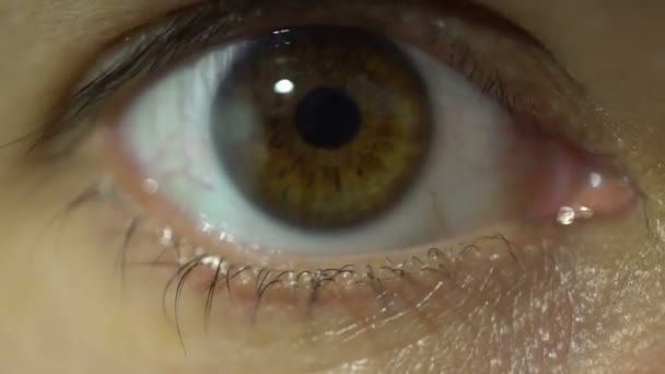 Oeil humain de près regardant à la caméra macro vue anatomie détaillée — Video