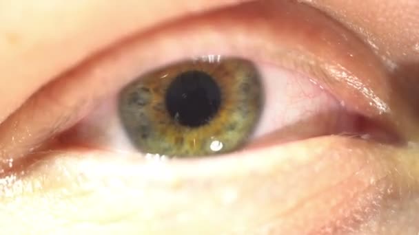 Green eye extreme close-up of iris and pupil dilating and contracting. Very finely detailed human anatomy, blinking — Stock Video