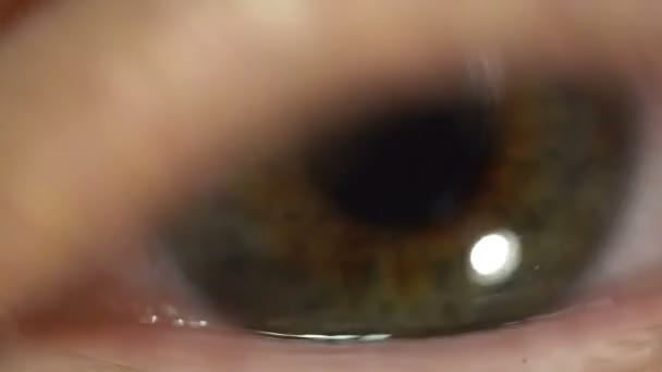 Зеленый глаз экстремальный крупным планом радужной оболочки и зрачка расширения и сокращения. Очень тонко проработанная анатомия человека, моргание — стоковое видео