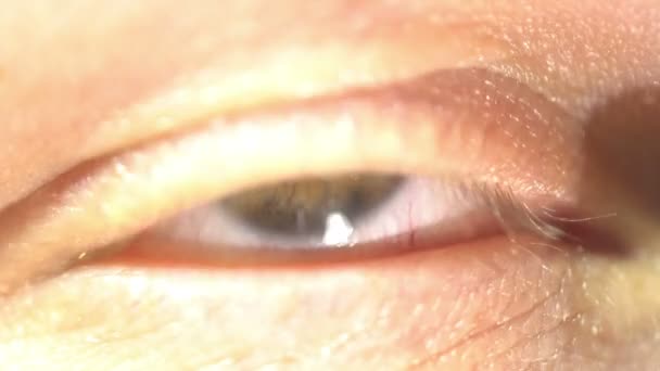 Green eye extreme close-up of iris and pupil dilating and contracting. Very finely detailed human anatomy, blinking — Stock Video
