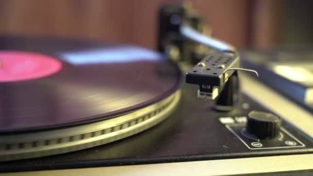 O disco de vinil no DJ toca-discos de perto. A placa rotativa e o estilete com a agulha de perto — Vídeo de Stock